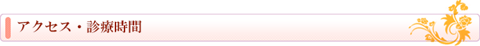 アクセス・診療時間